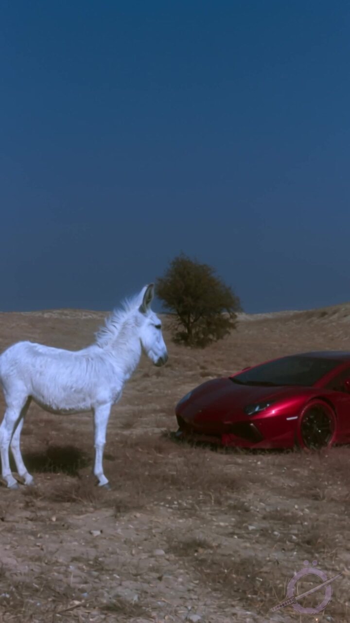 Burro blanco junto al Huracán rojo en el desierto